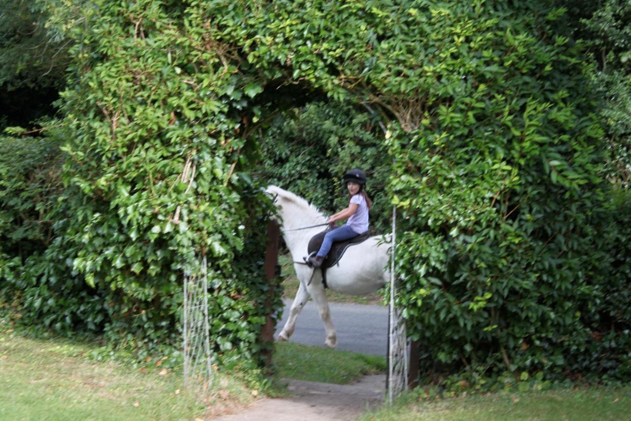 Fosse Farmhouse Holiday Cottages Chippenham  Esterno foto